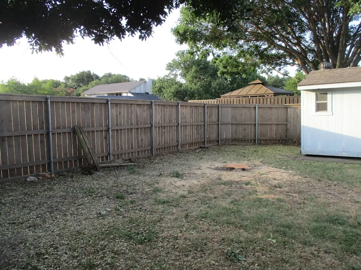 Cleared yard after professional tree removal in Lebanon Junction